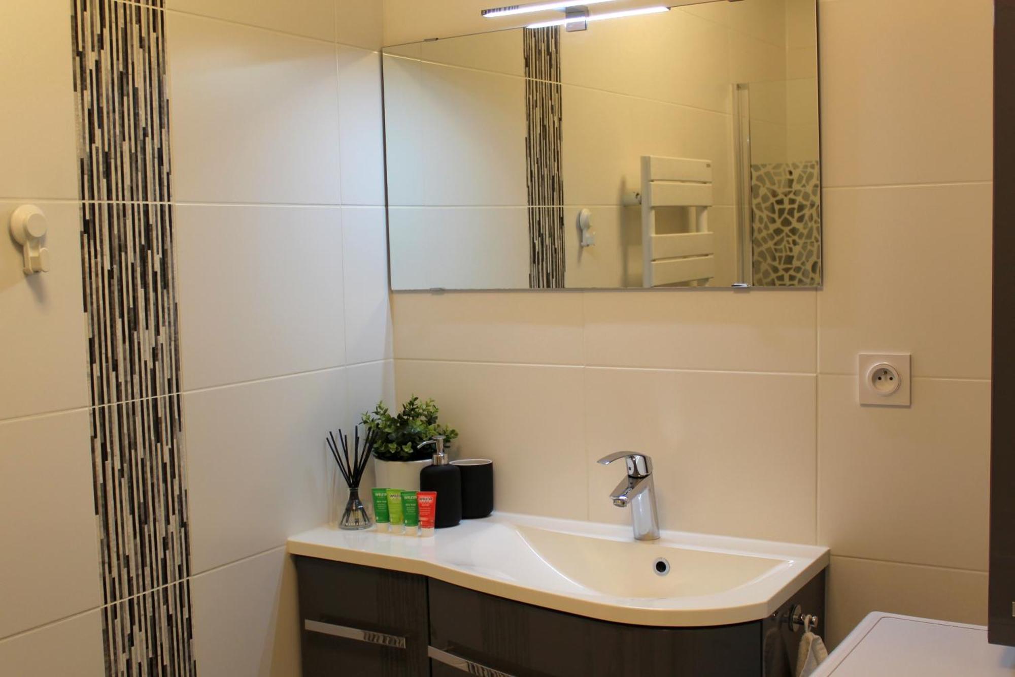 A Few Steps From Basel With Balcony And Free Private Parking Διαμέρισμα Saint-Louis  Εξωτερικό φωτογραφία
