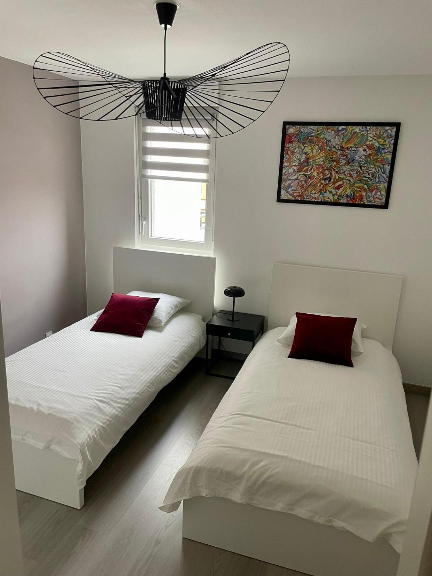 A Few Steps From Basel With Balcony And Free Private Parking Διαμέρισμα Saint-Louis  Εξωτερικό φωτογραφία